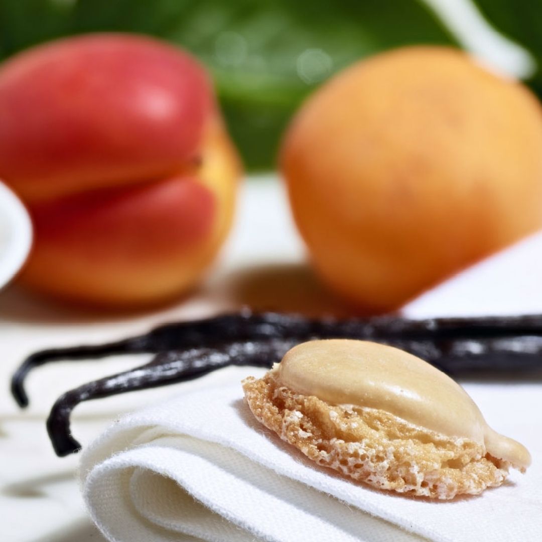 Macarons Aprikose & Vanille