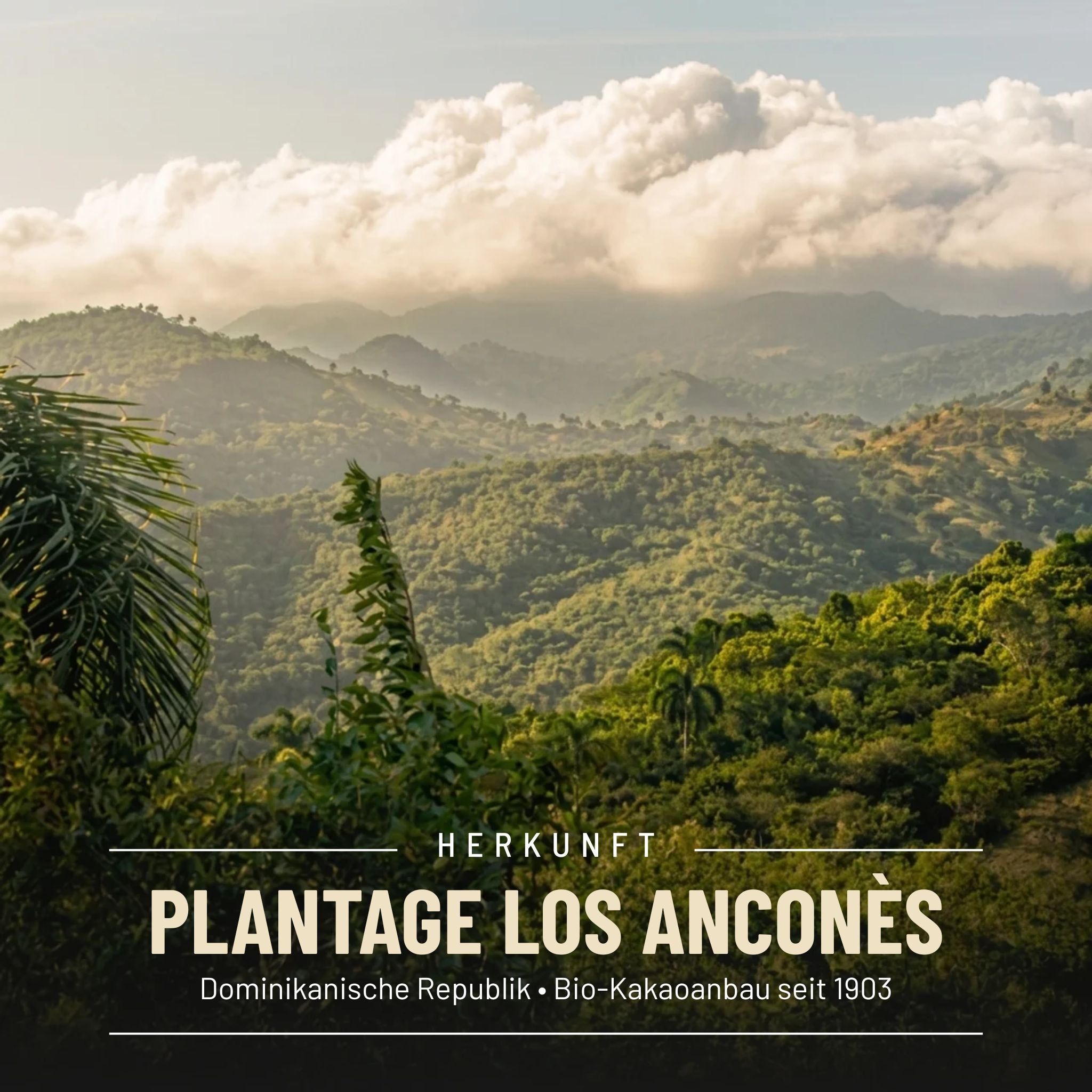 BIO-Plantagenschokolade Zartbitter Dominikanische Republik (Los Anconès)