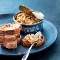 Rillette & Brotaufstrich
