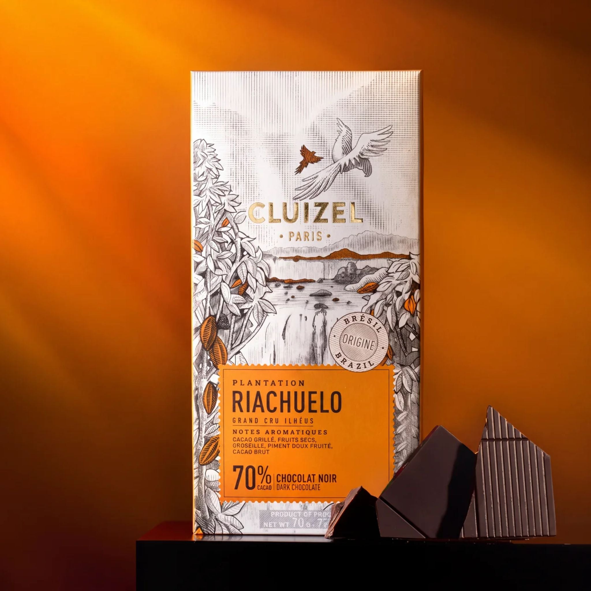 Plantagenschokolade Zartbitter Brasilien (Riachuelo)
